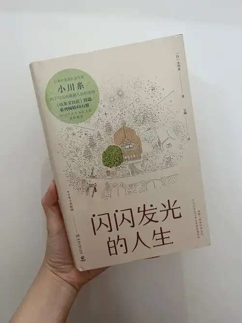 闪闪发光的人生0807