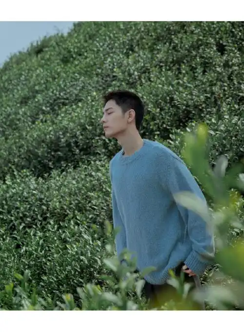 肖战竹林大片花絮##肖战##肖战竹林健身