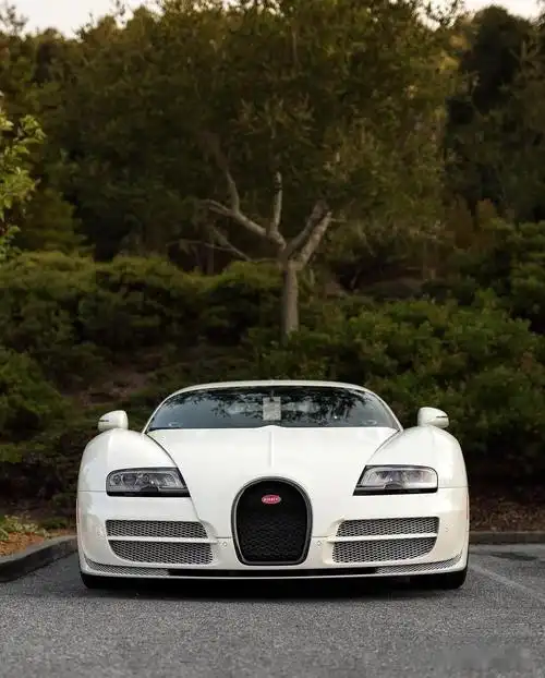 布加迪威龙超级跑车中的极致之选