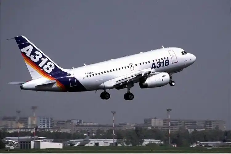 空客318