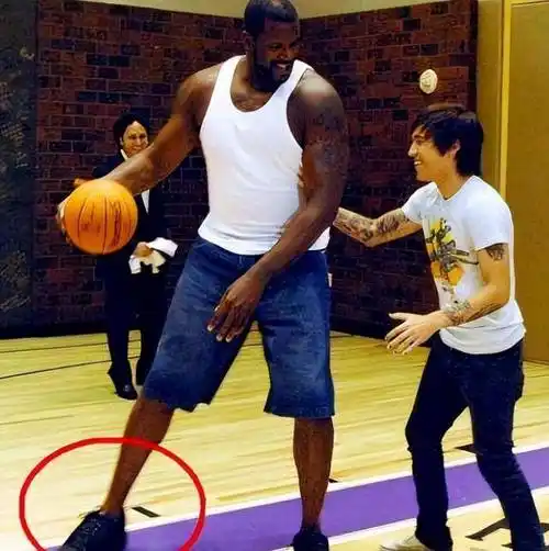 亚洲球员普遍存在臂展短板,许多臂展甚至不如身高,姚明作为状元秀也以