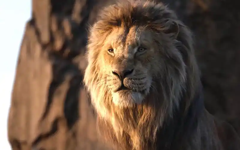 【4k极致】真狮版—《狮子王》生生不息主题曲片头01-鸡鸡解说ovo