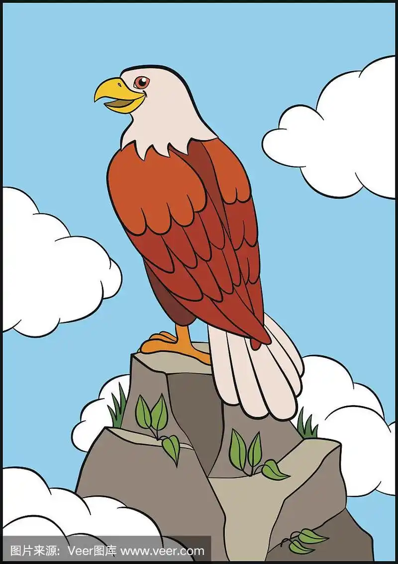 儿童卡通野生鸟类:鹰.可爱的老鹰坐在岩石上微笑.