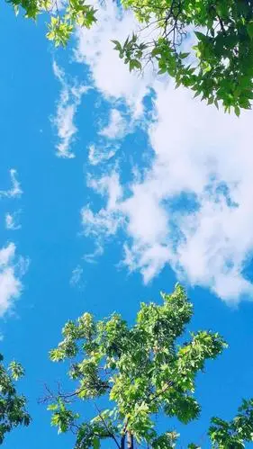 简单的小清新风景