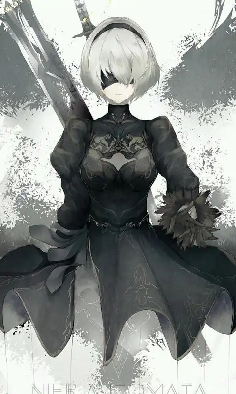 尼尔机械纪元2b小姐手机壁纸1080x1920