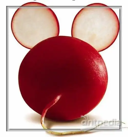 果蔬转贴 分析测试百科网wiki版