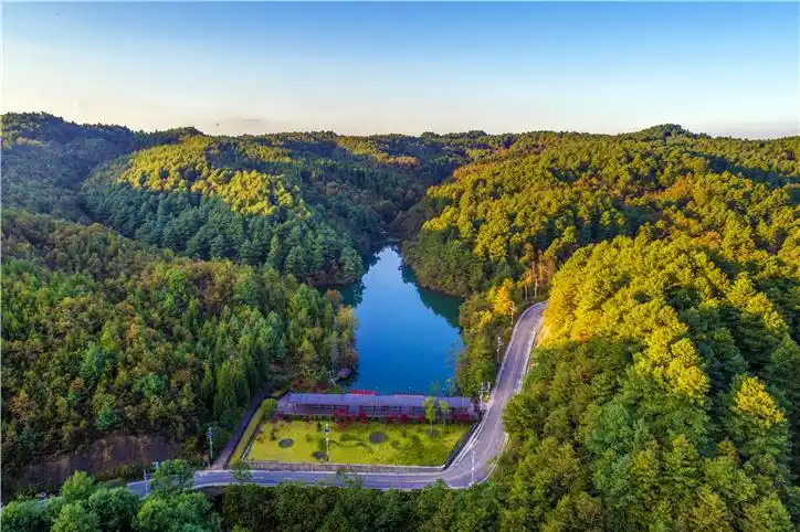 首页 社会 正文  拱拢坪森林公园位于贵州省毕节市七星关区杨家湾镇