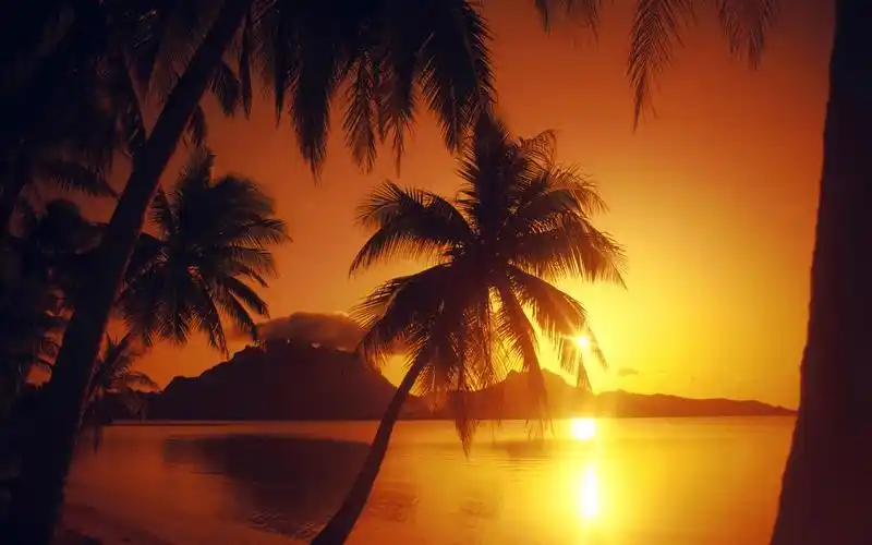 或许日出尚早,但总会有朝阳,高清图片,电脑桌面-壁纸族