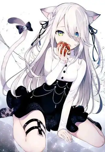 动漫猫耳少女鉴赏