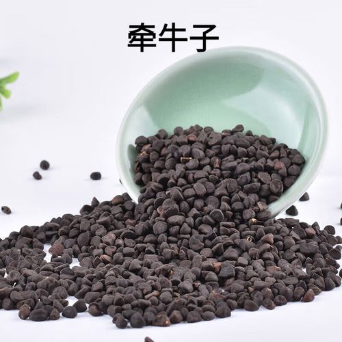 特级无硫黑丑 牵牛子中药材500g克黑牵牛籽 二丑另有白丑