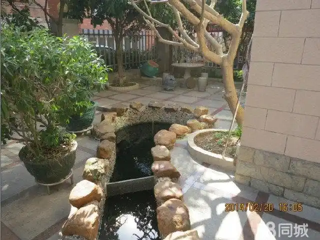 代理)东乐花园独立别墅占地222方首付250万元拥有家 - 顺德大良二手房