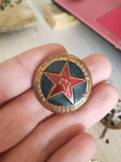 五五式帽徽领章一些