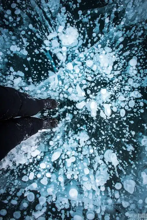 达观明志 chendmgx