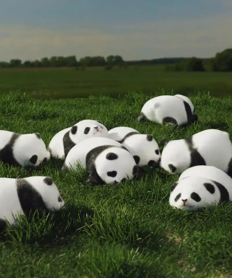 一堆熊猫宝宝.#这也太可爱了吧 #可爱到爆炸99 #今日份小 - 抖音
