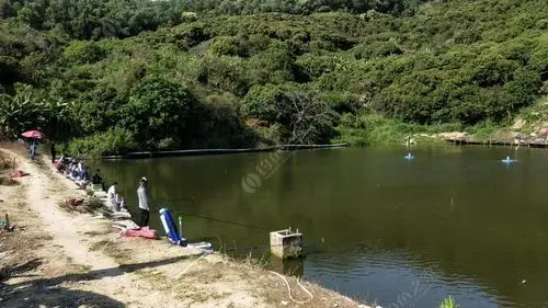 深圳宝安区收费钓场大全 - 钓鱼之家