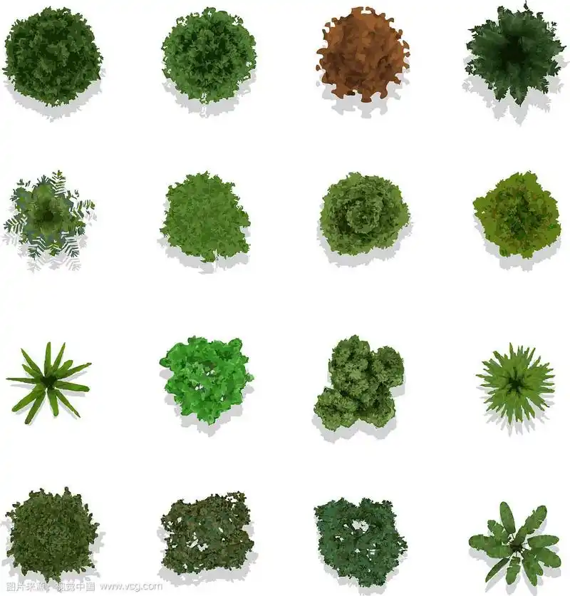 树木顶视图的景观