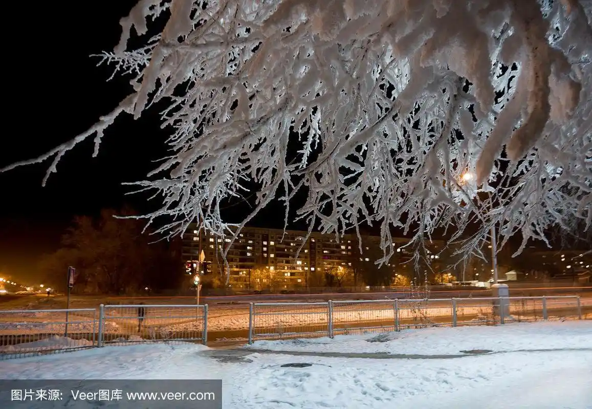 一个小镇的寒冷冬夜.树枝上覆盖着一层厚厚的霜.