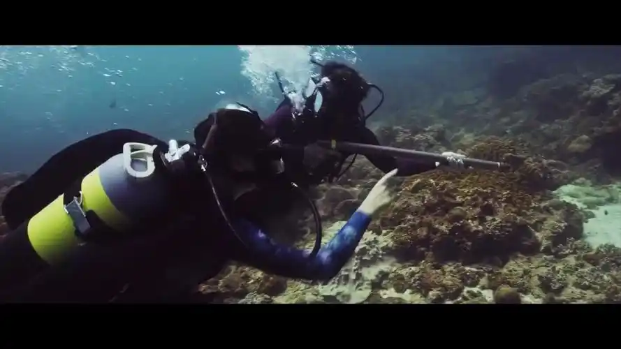 【4k】大屠杀又要开始了《深海狂鲨3》中字预告片