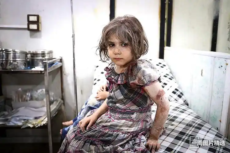 一周图片精选2016820826