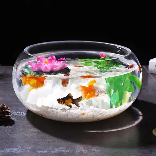 小型鱼缸家用透明玻璃金鱼缸造景圆形小鱼缸客厅办公桌迷你乌龟缸