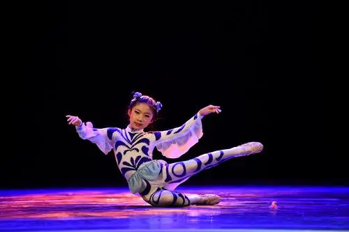 中国昆明第6届《聚慧之星》独舞剧目展演