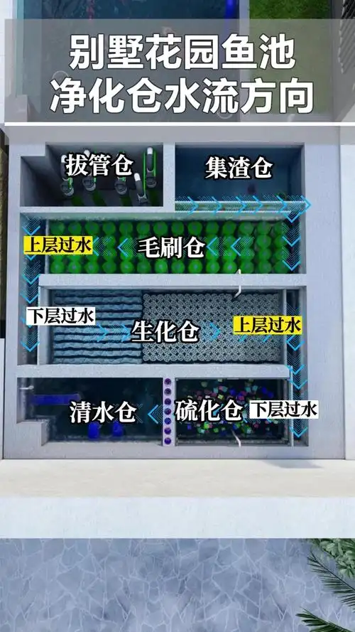 花园设计鱼池设计净化仓过滤系统设计