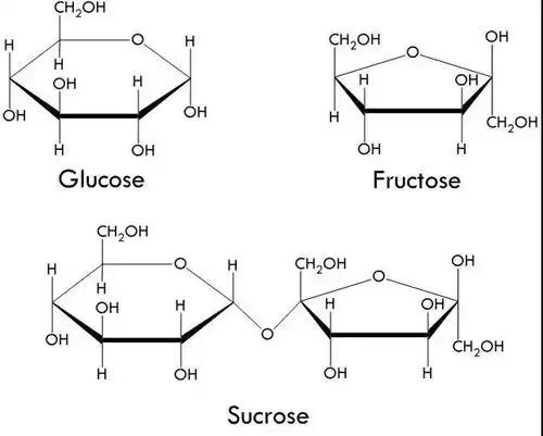 为什么果糖不升血糖还容易导致糖尿病