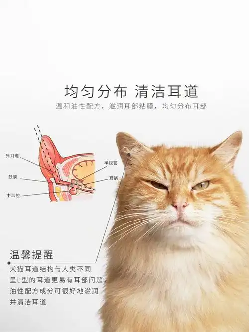 猫咪滴耳犬猫通用洗耳猫耳狗狗猫用耳部清洁耳部清洁