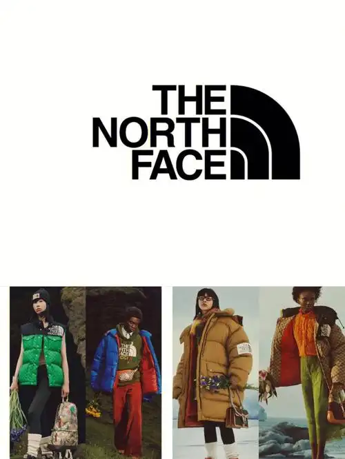 每天认识一个品牌thenorthface北面