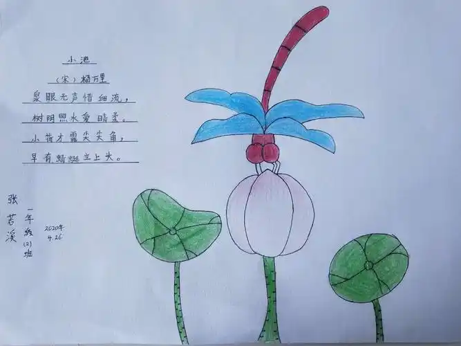 侯郎营小学一年级二班——《小池》诗配画