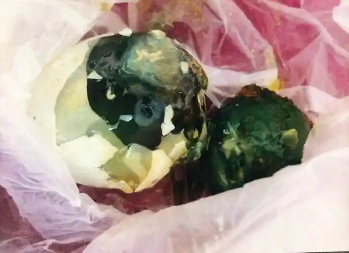 松花蛋里有多条虫子北京物美超市仍称食品质量没问题