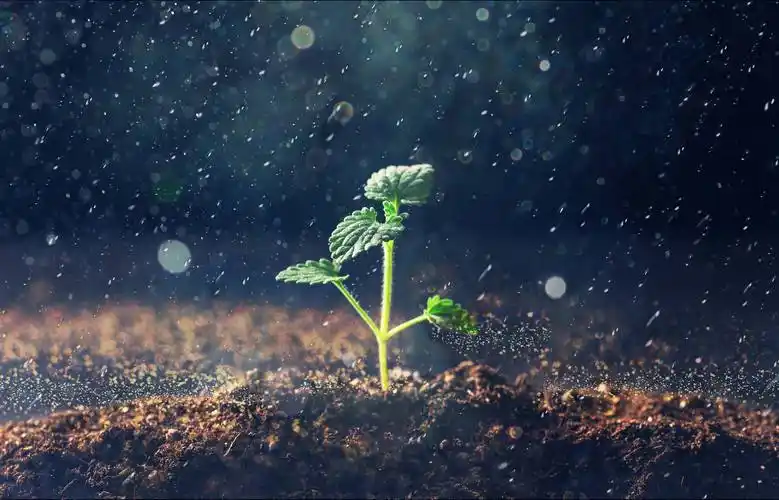 春雨如金,如何拍出春雨的"诗情画意"?5个思路拍好春雨