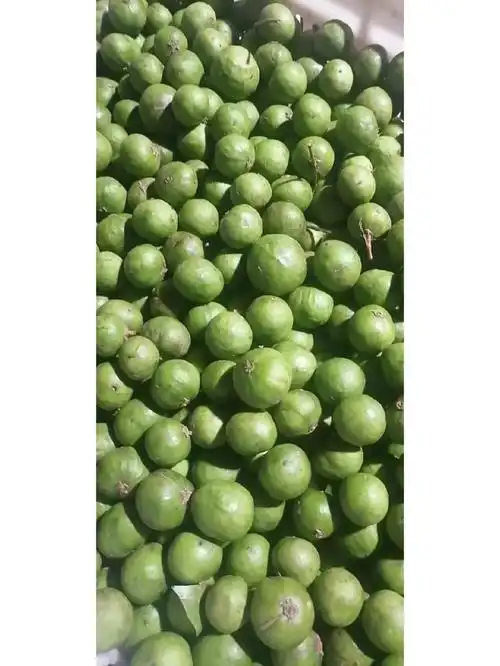 新鲜腌制银捻果儿时味道下饭开胃优零食