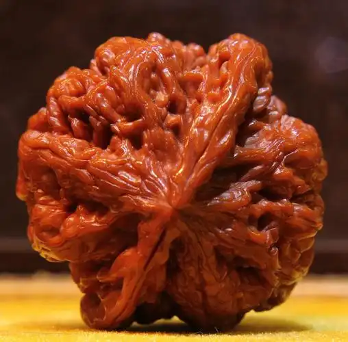 文玩核桃白狮子异形犀牛望月狮子头极品