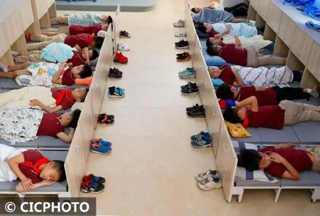 双减政策落地小学生享午睡