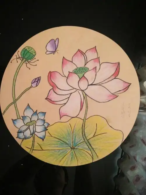 荷花扇面送给姥姥!姥姥可开心了