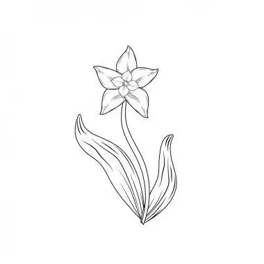 单一的白色百合花花与茎, 叶,侧视图 单手绘制白色百合花与茎, 叶,侧