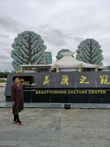 大剧院,住宅等全功能建筑,楼型为树叶形状,是三亚别具一格的建筑