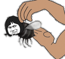 关于打苍蝇的搞笑说说配图「经典」 _qq说说网