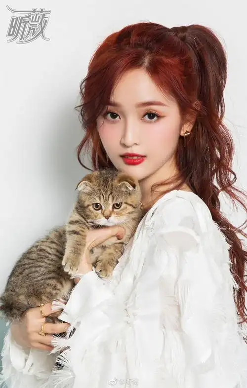 p>吴宣仪(         ,xuan yi),1995年1月26日出生于海南省海口市