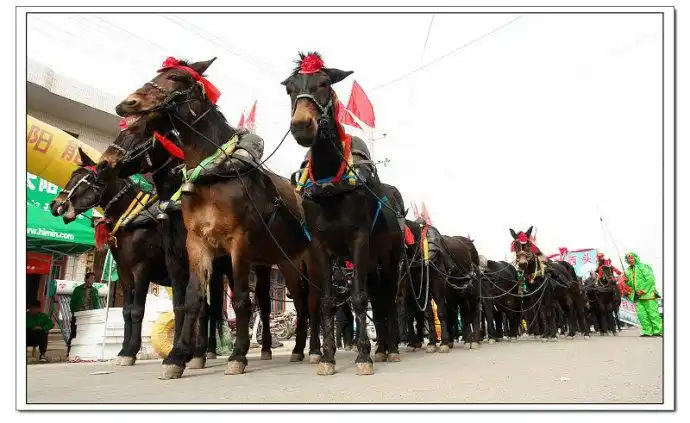 山西新绛阳王:万人社火闹翻"二月二"_新浪杂谈_文化