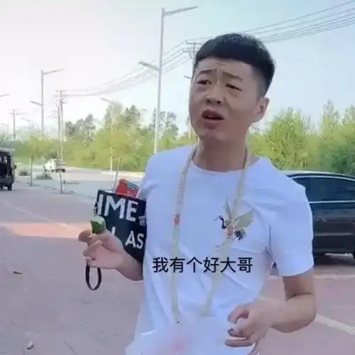 自截抖音李会长街溜子表情包