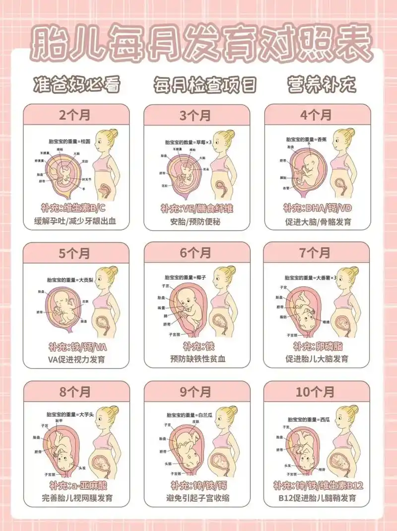 准爸妈必看98胎宝宝发育对照,96起来～.