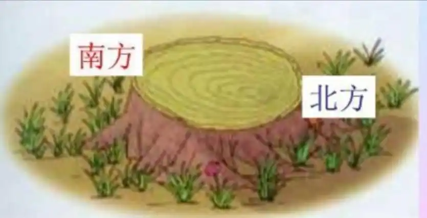 【微课堂】辨别方向