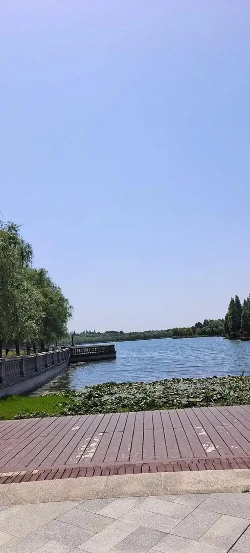 吴江圣地公园探险记:竹叶青蛇惊魂记