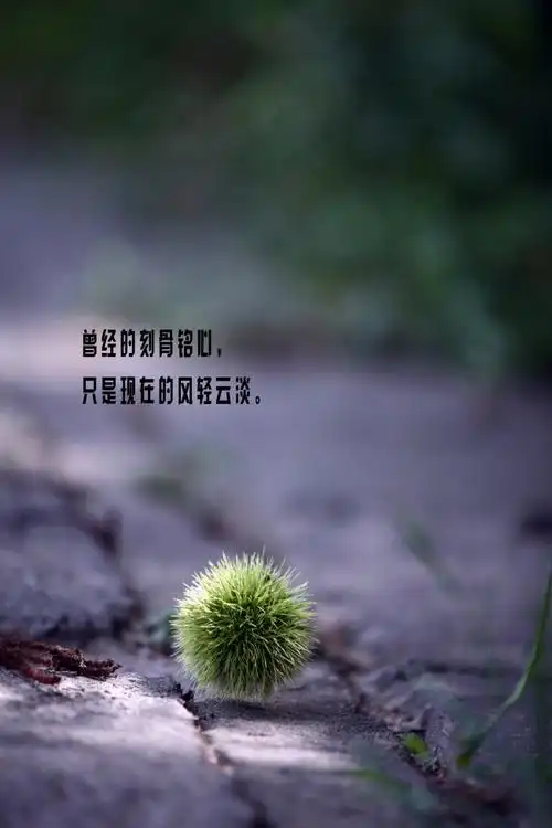 文字图片 伤感文字图片 文字图片大全_站长素材.