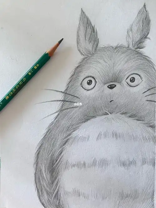 龙猫手绘  #步骤  #宫崎骏动画  #宫崎骏龙猫  #素描入门  #铅笔绘画