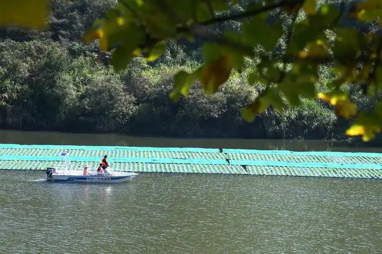 湖北通城:"河湖长制"保护水生态