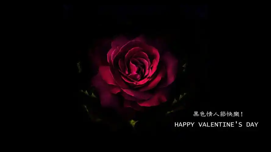 黑色情人节快乐