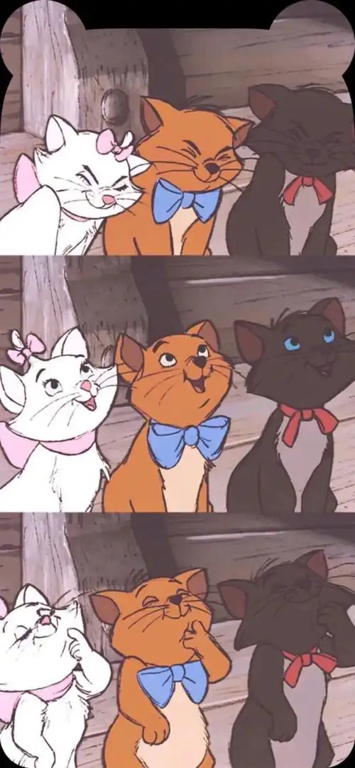 迪士尼 玛丽猫 壁纸